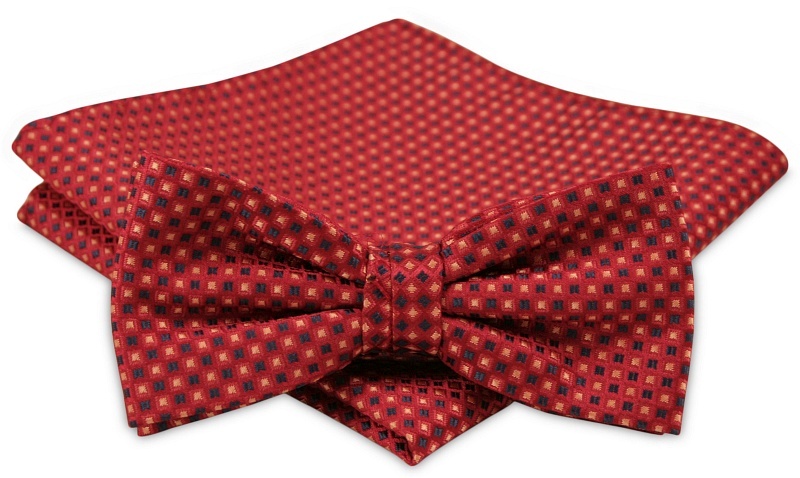 Modna mucha z poszetką - Alties