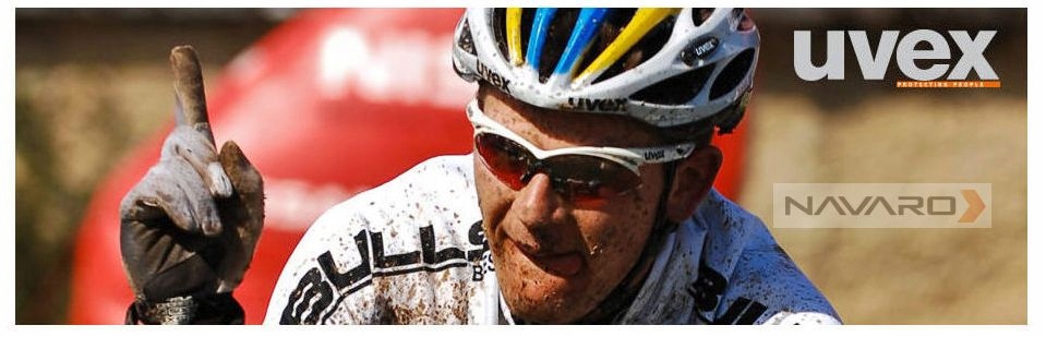 Sportowe okulary UVEX 204 2110 Smoke S3 Model Sportstyle 204