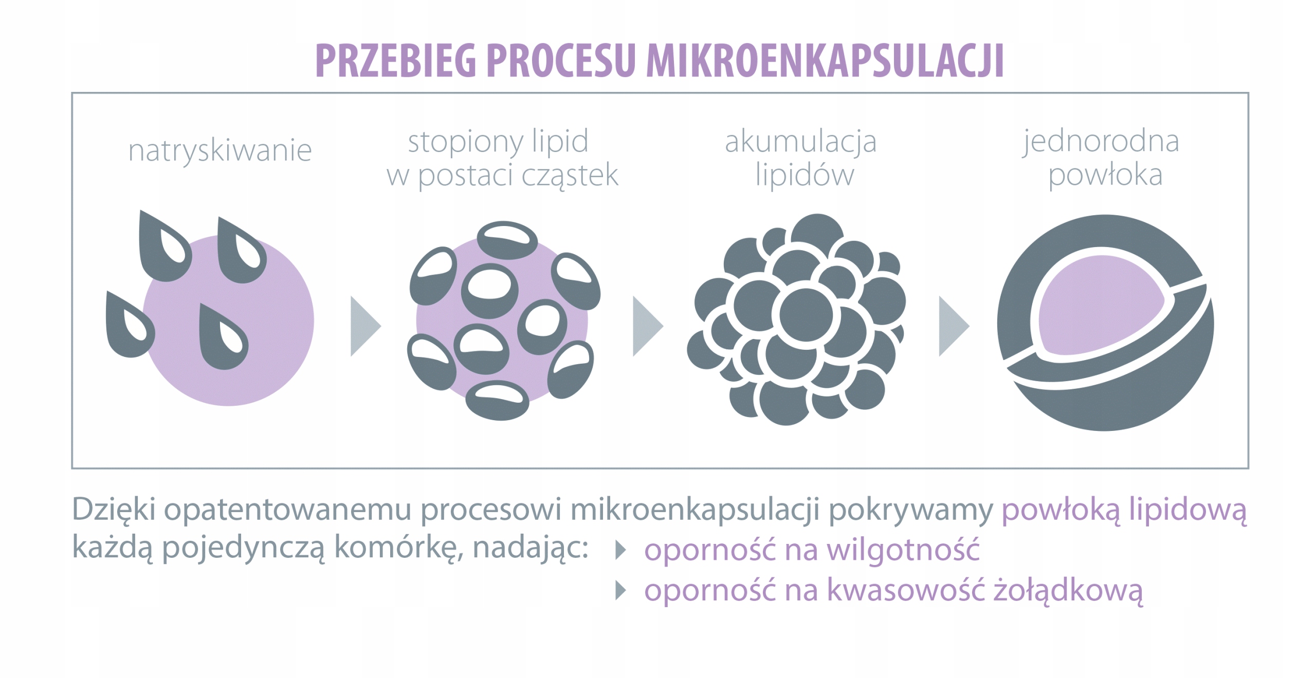 Probiotyk LACTOBACILLUS RHAMNOSUS GG 5 mld Aliness Cechy dodatkowe chronić przed światłem wegański wegetariański