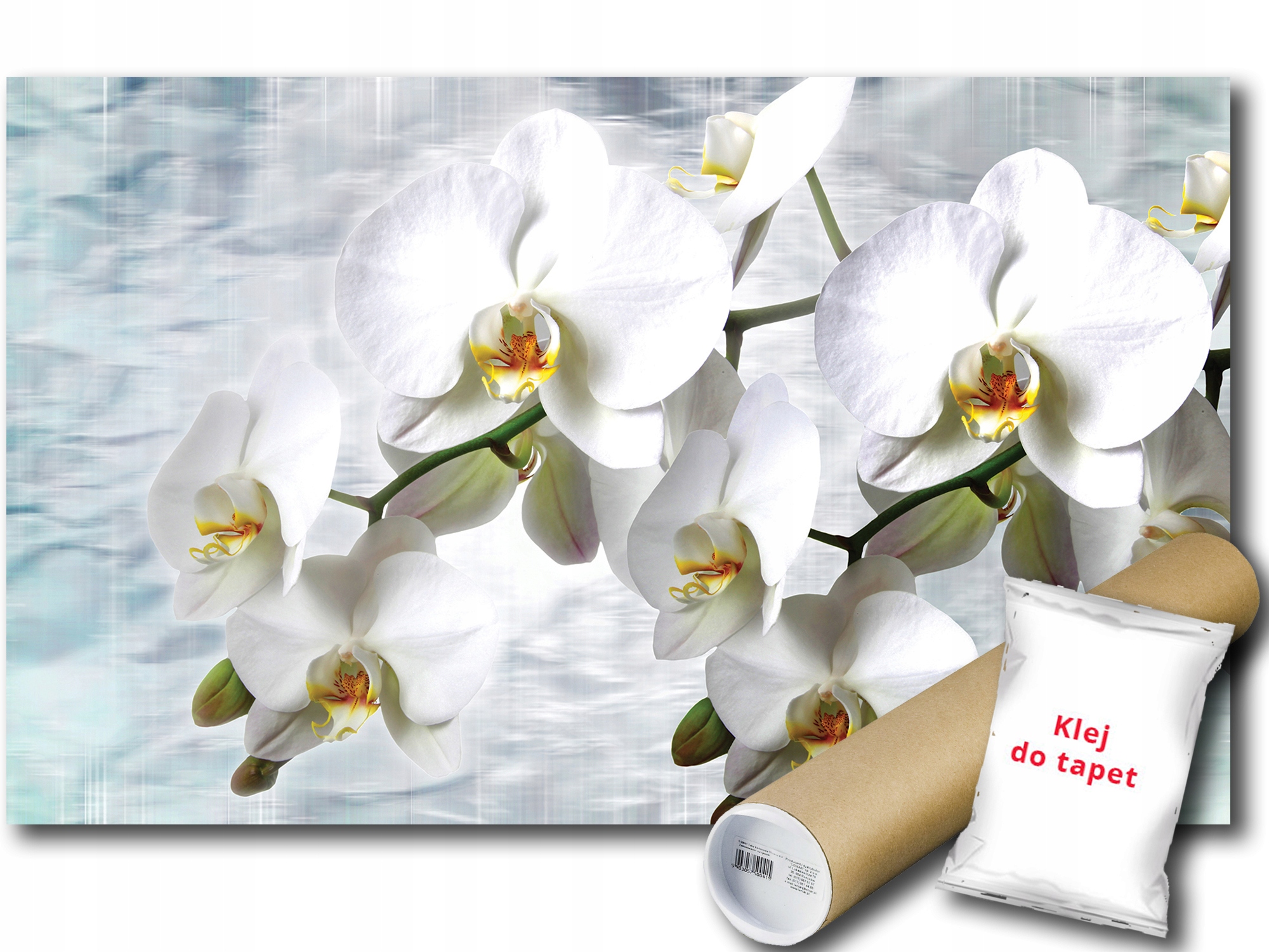 Fototapeta Bílé Orchideje 9D F3XL 416x254 F1667