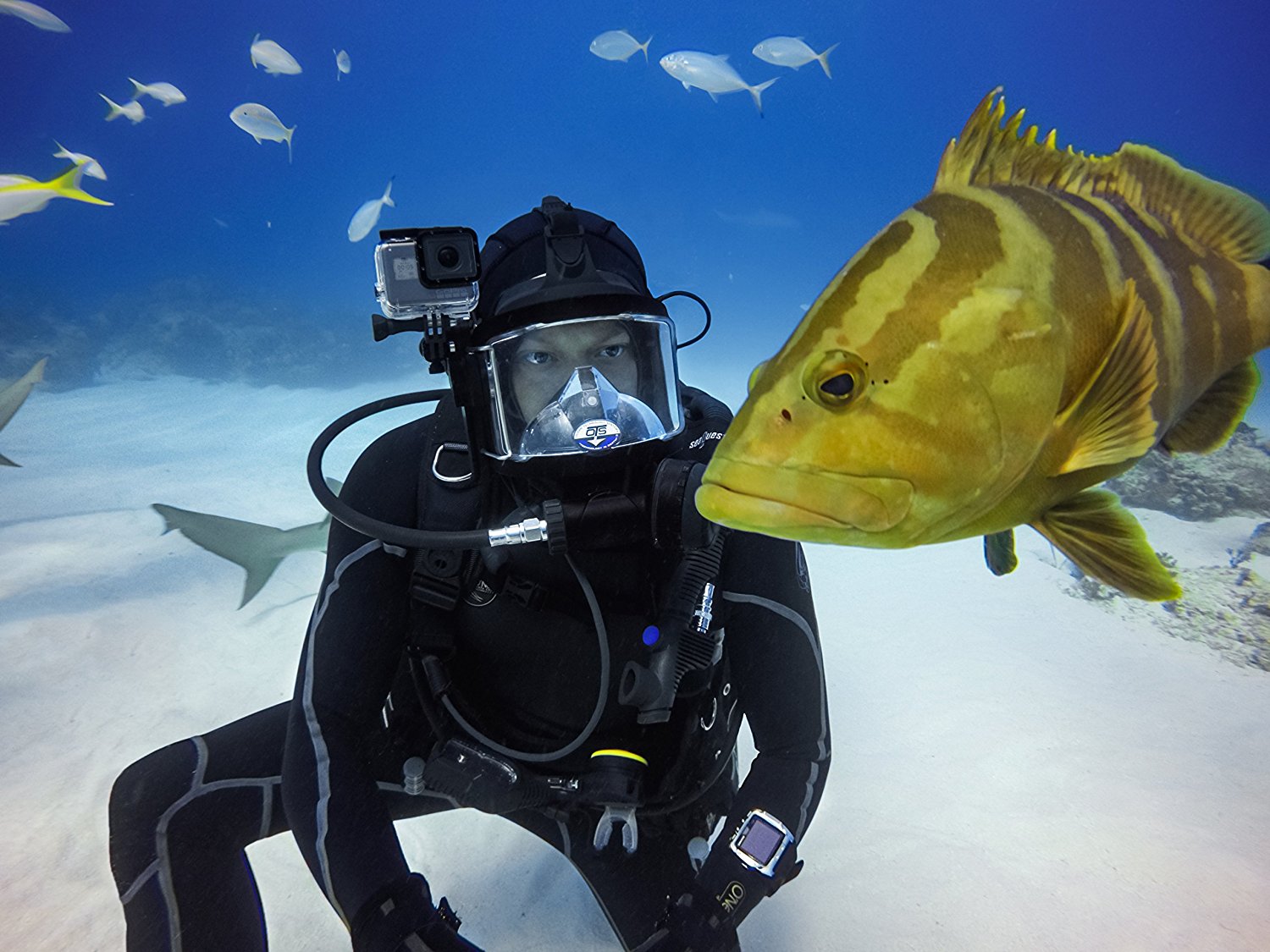 OCHRONNE WODOODPORNE WODOSZCZELNE ETUI OBUDOWA CASE DO GOPRO HERO 5 / 6 / 7 Marka GoPro