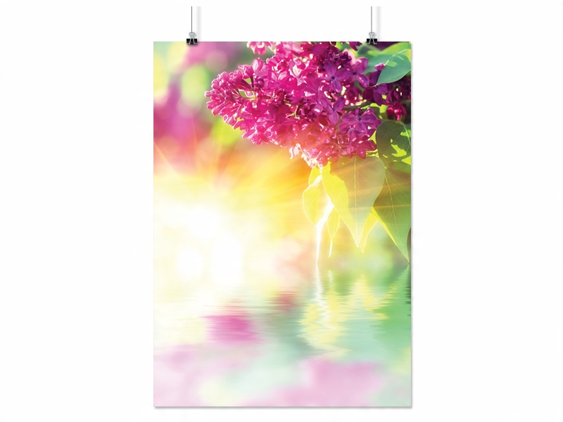 

Plakat Kwiaty Rośliny 90x60 CM 33 Wzory Matowy