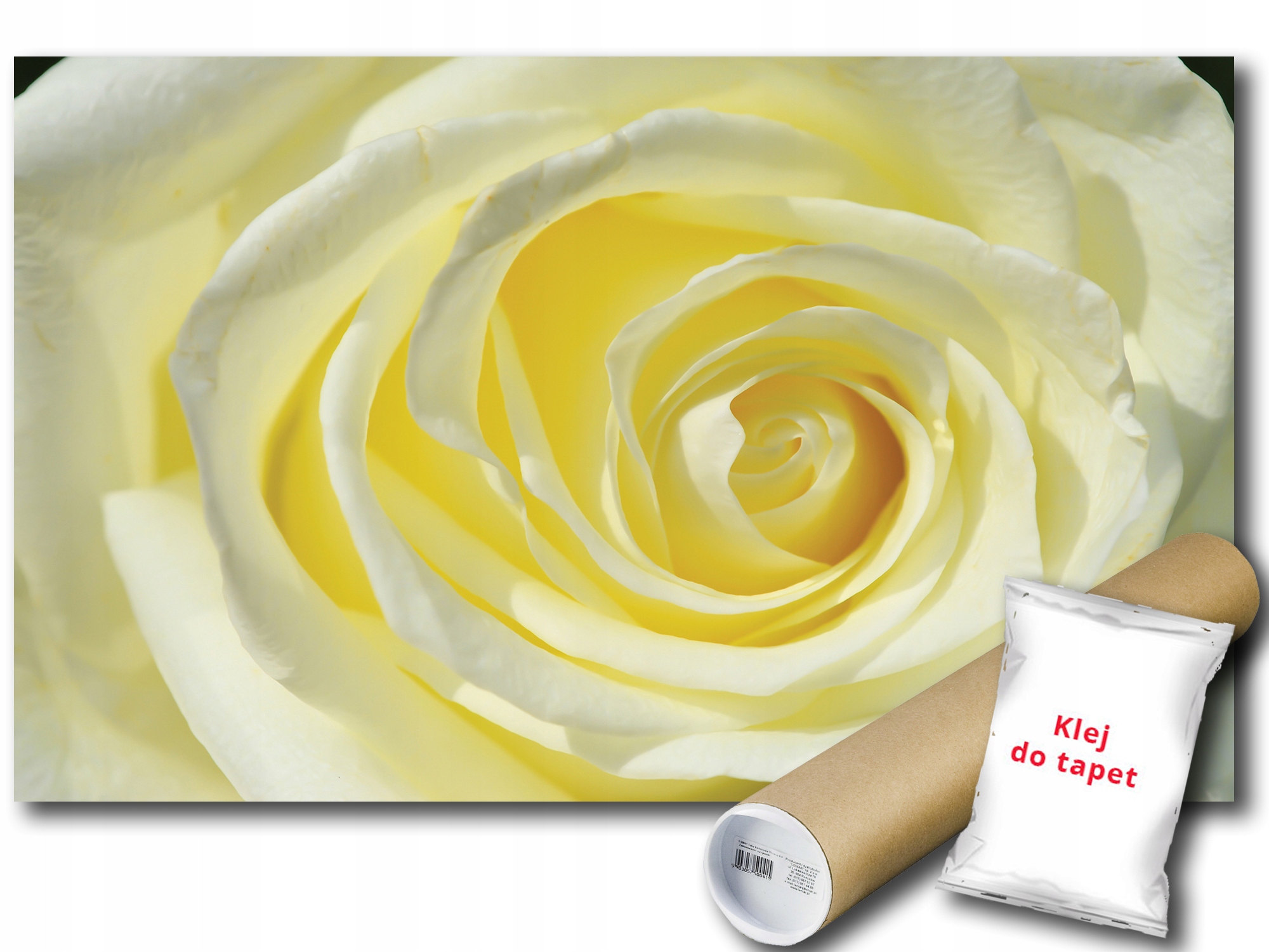 Fototapeta Žlutá Růže Květ 9B V8 368x254 F660
