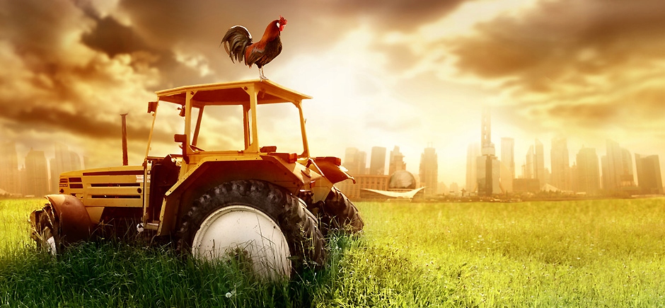 IKEA LAMPLIG PODSTAWKA PODKŁADKA POD GORĄCY GARNEK EAN (GTIN) 5903802181821