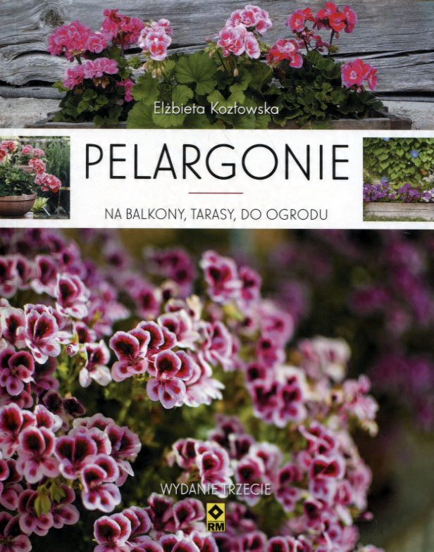 

Pelargonie na balkony, tarasy... E. Kozłowska