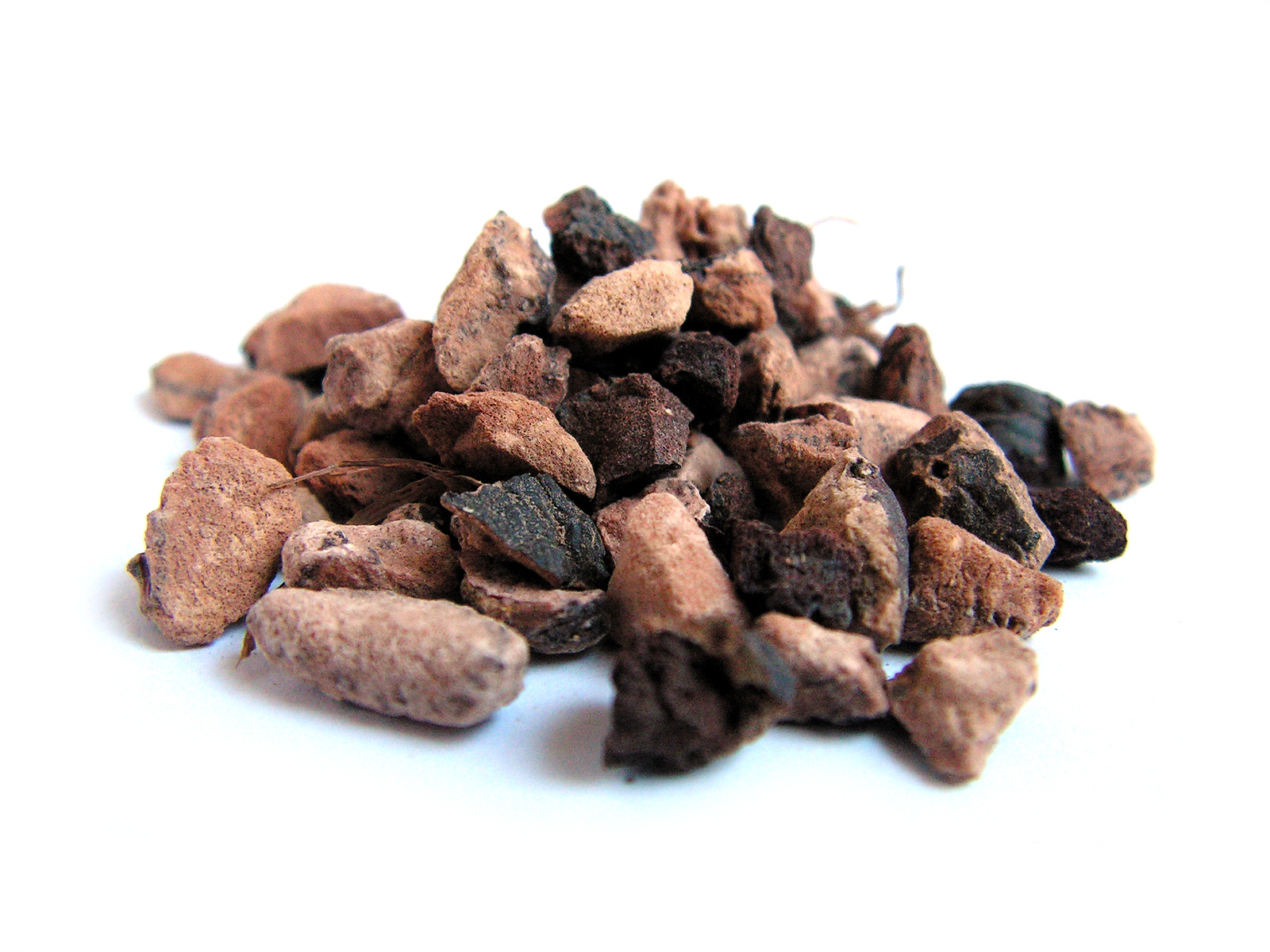 

Rdest Wężownik kłącze 1 kg Aromatika