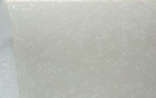 

Papier jak kalka wzór listków 35g 10A4 zaproszenia