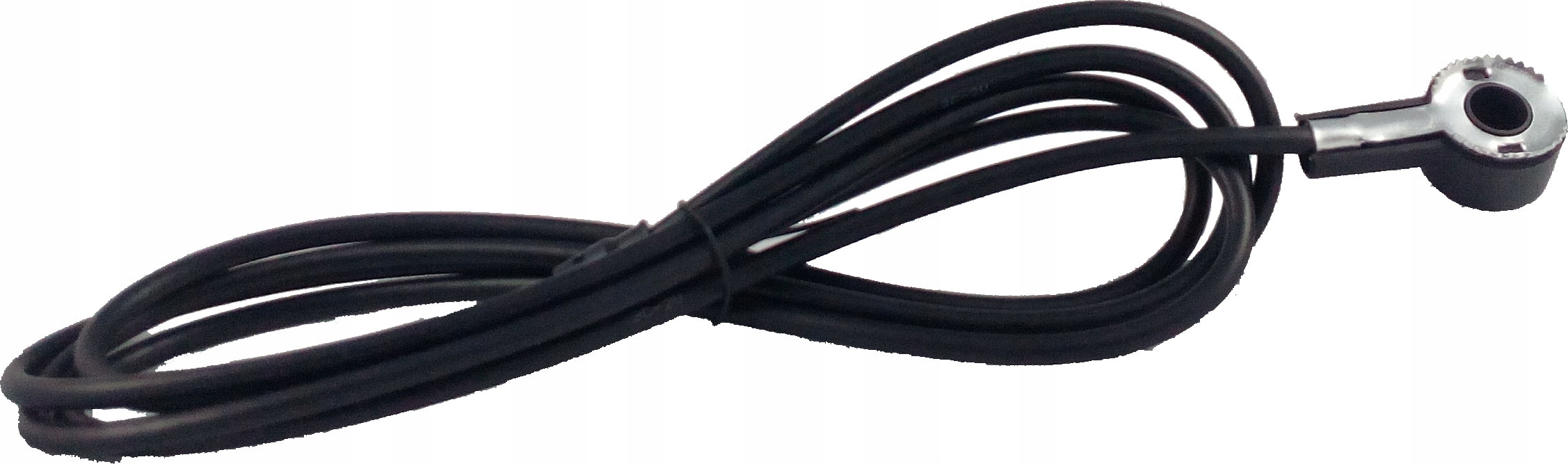 ANTENA SAMOCHODOWA RENAULT CLIO KANGOO LAGUNA Model ANTENY