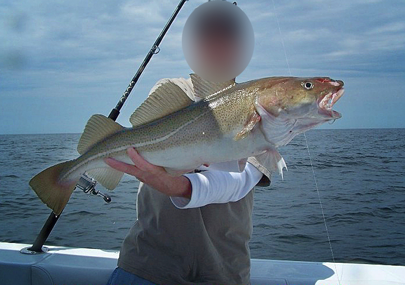 WĘDKA MISTRALL LAMBERTA MULTI PILK 2,40m /150-200g EAN (GTIN) 5908277837266