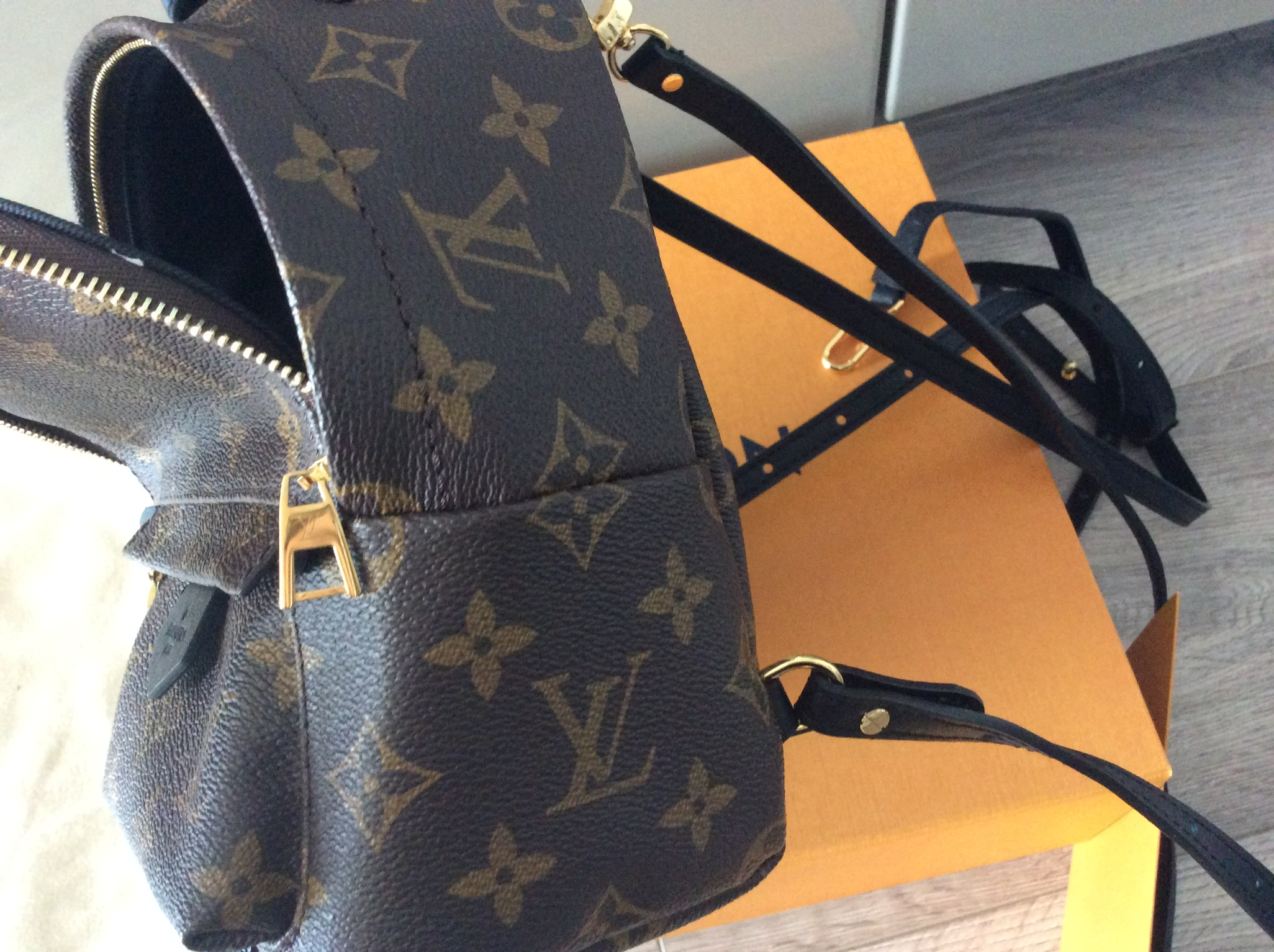 Louis Vuitton Palm Springs Mini Monogram rachunek - 7345848446 ...