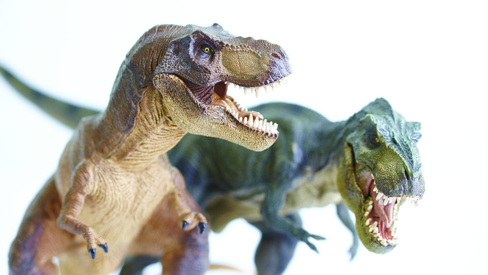 Zabawki Z Dinozaurami Raj Dla Małego Paleontologa Allegropl Zabawki Z Dinozaurami Raj Dla Małego Paleontologa Allegropl