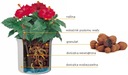 фото mini №9, Hydroponics processing plants liner 28/ 19 expanded clay
