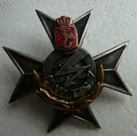 Odznaka CWT SZ