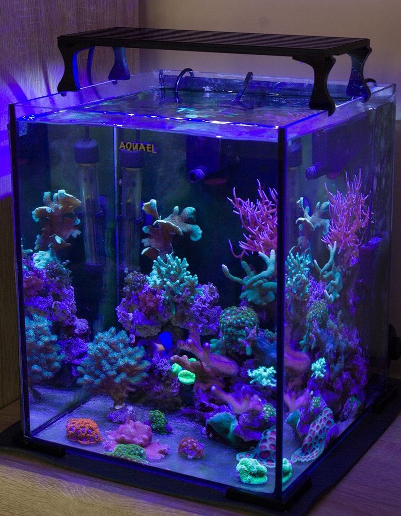 Lampa LED Sirius NANO  do Aquael Nano Reef 30l