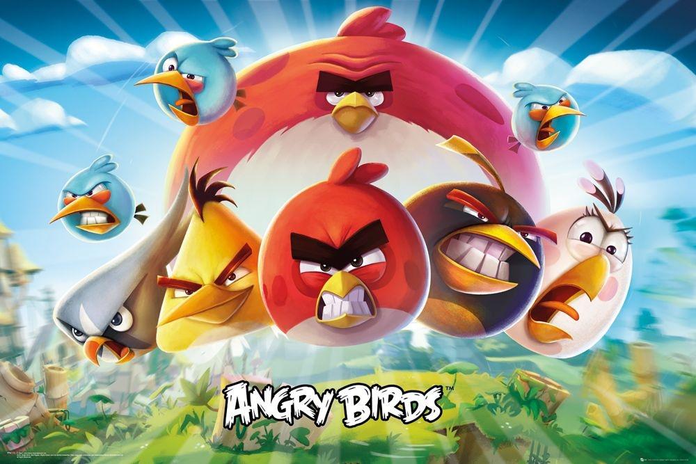 Angry Birds - plakat 91,5x61 cm