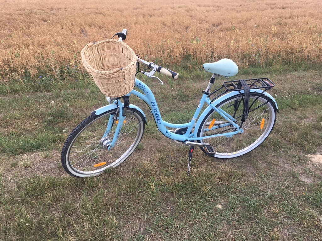 Rower 28 EUROBIKE Picnic 8.1 Nexus 3 Błękitny Rama