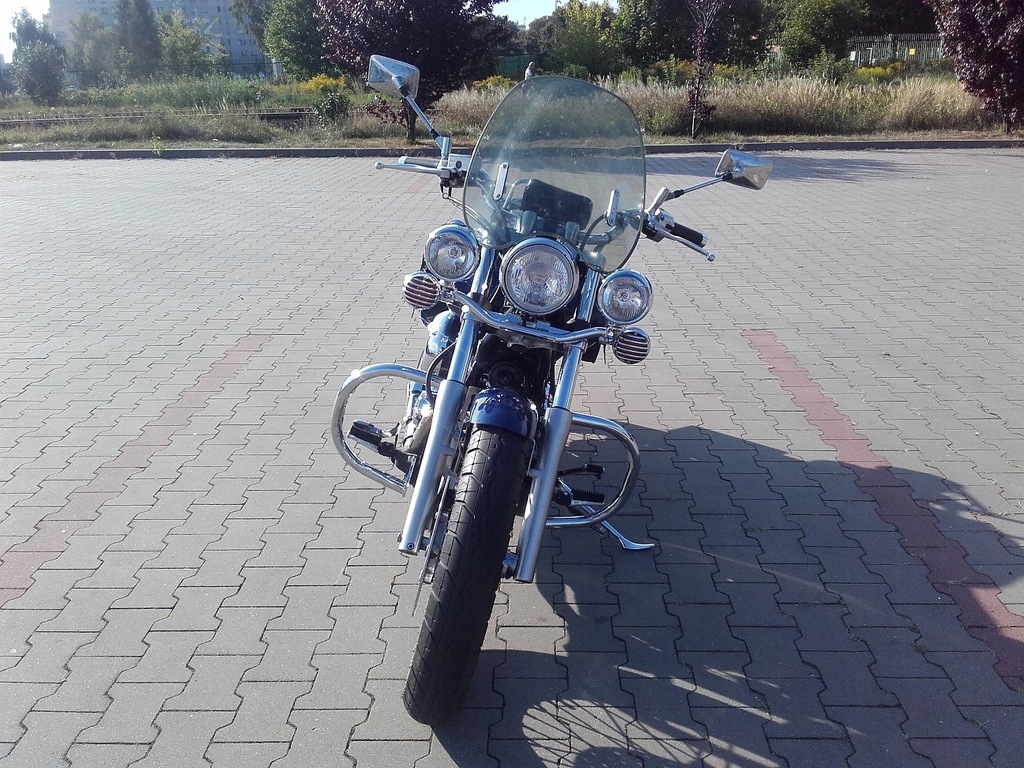batwing yamaha dragstar 650