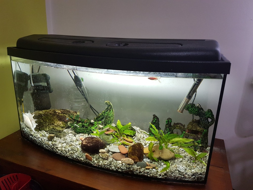 AKWARIUM 120L 