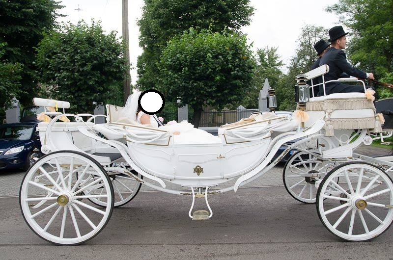 Bryczka Kalesza Kalwagen