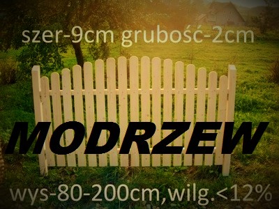 SZTACHETY drewniane MODRZEW h-120cm 9cmX2c OLSZTYN