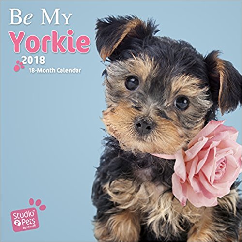 Kalendarz Yorkshire Terrier 2018 Yorkie psy yorki