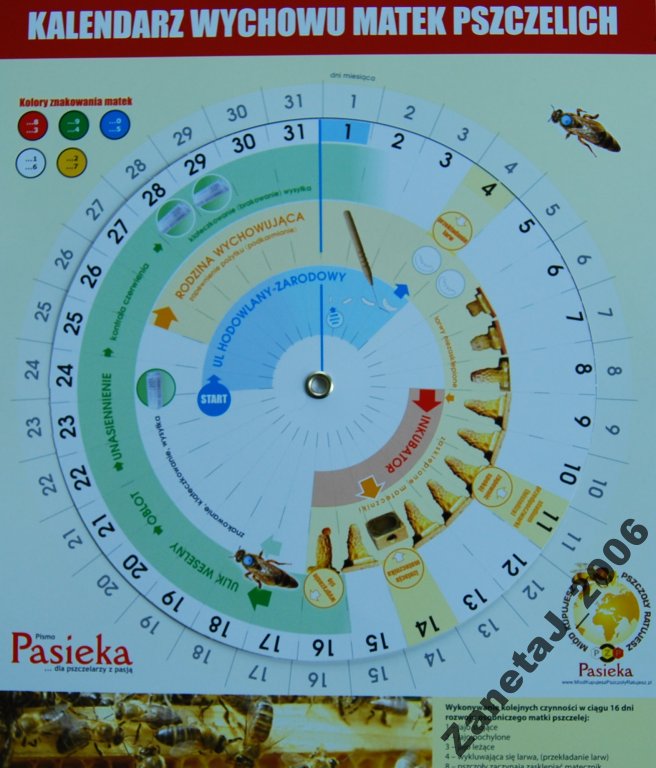 ZJ - Kalendarz do wychowu matek pszczelich