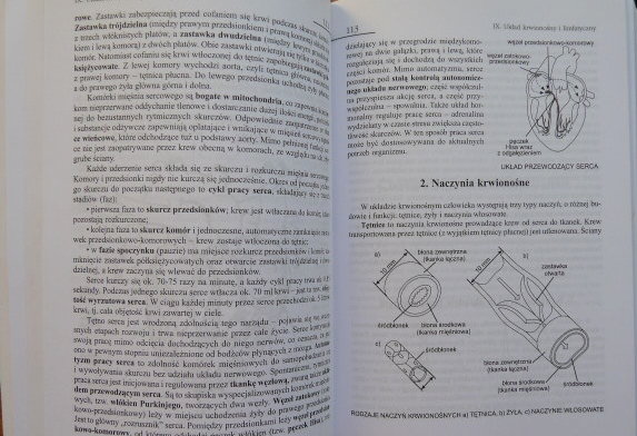 BIOLOGIA Vademecum maturzysty - NOWA MATURA