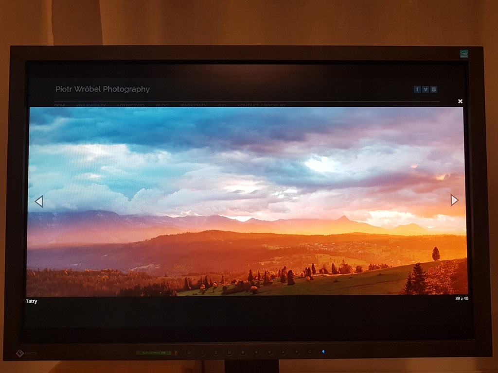 Monitor szerokogamutowy EIZO S2233W + kable, pudło