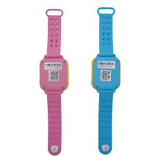 fenix 6 reviews