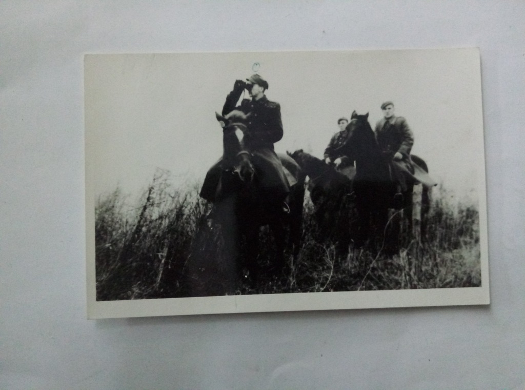Zwiad konny WOP za bandą "Łupaszki" 1946