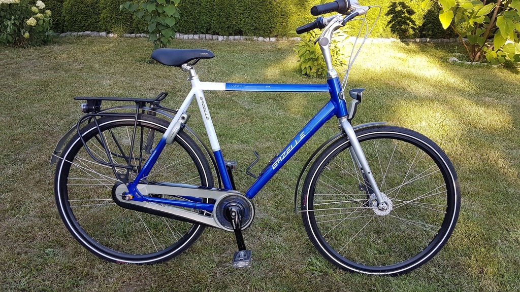 Gazelle luzern plus sale