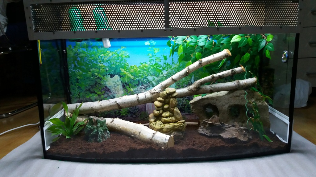 Terrarium 200 litrów z wyposażeniem