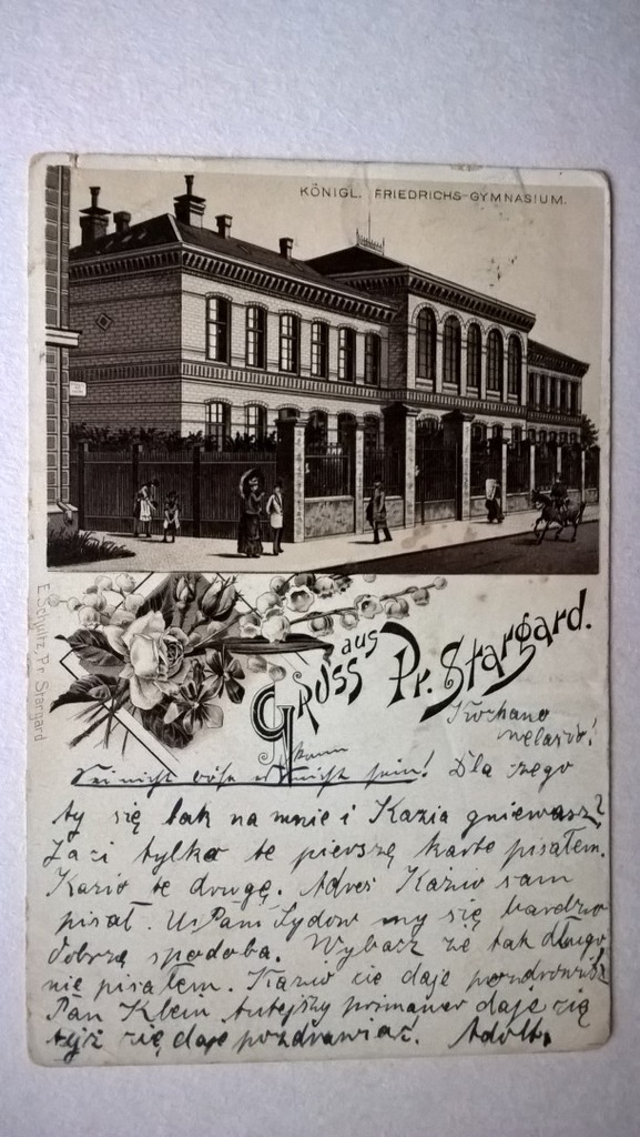 Starogard, Gimnazjum, Schultz 1898