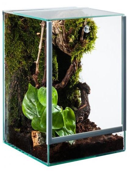 DIVERSA TERRARIUM 20X20X30 DLA KUMAKA JASZCZURKI