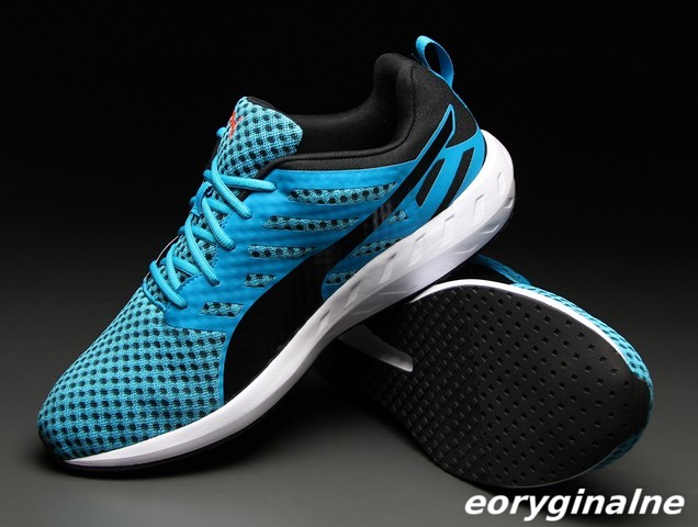 Buty męskie Puma Flare 188625 01 Running r. 40,5 Buty męskie Puma Flare 188625 01 Running r. 40,5