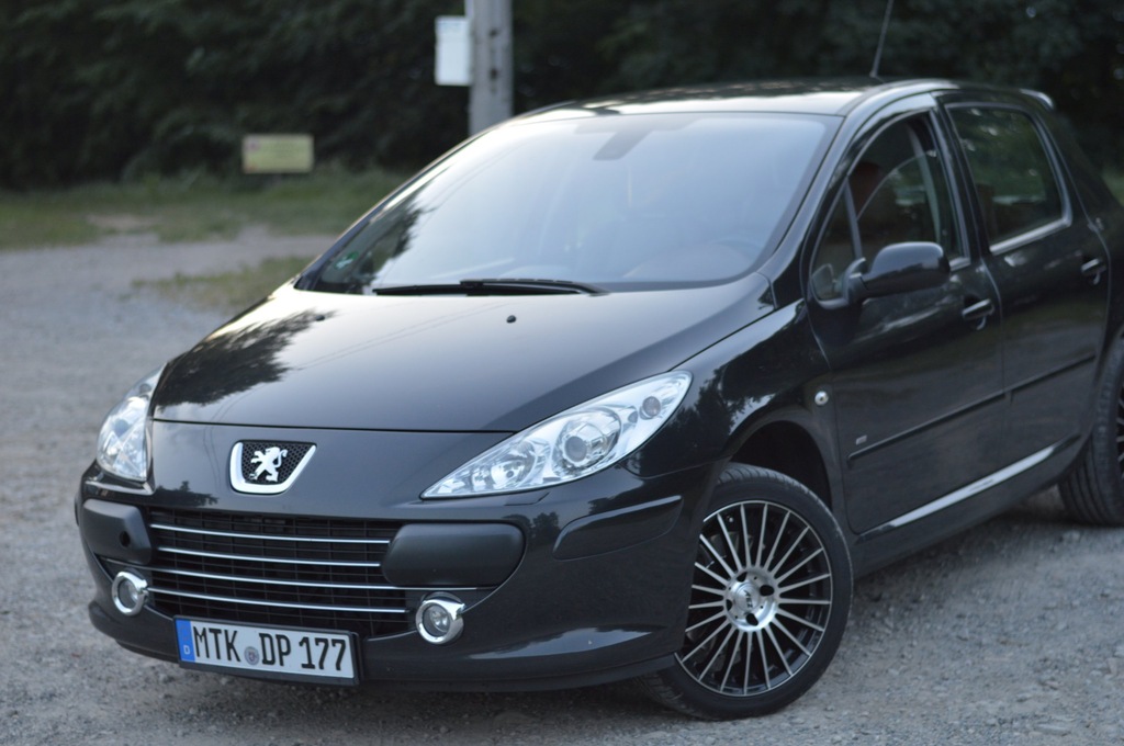 Peugeot 307 feline