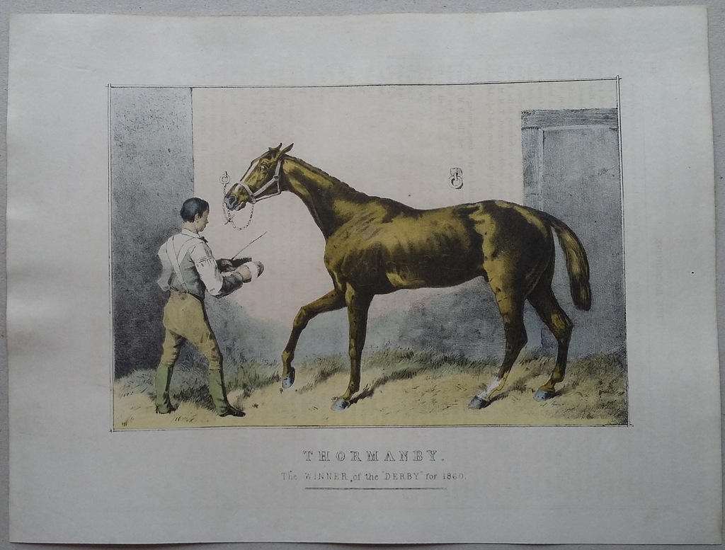 THORNAMBY 1860r - brytyjski rasowy koń wyścigowy