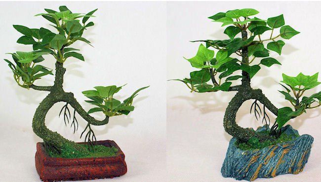 Drzewko Bonsai