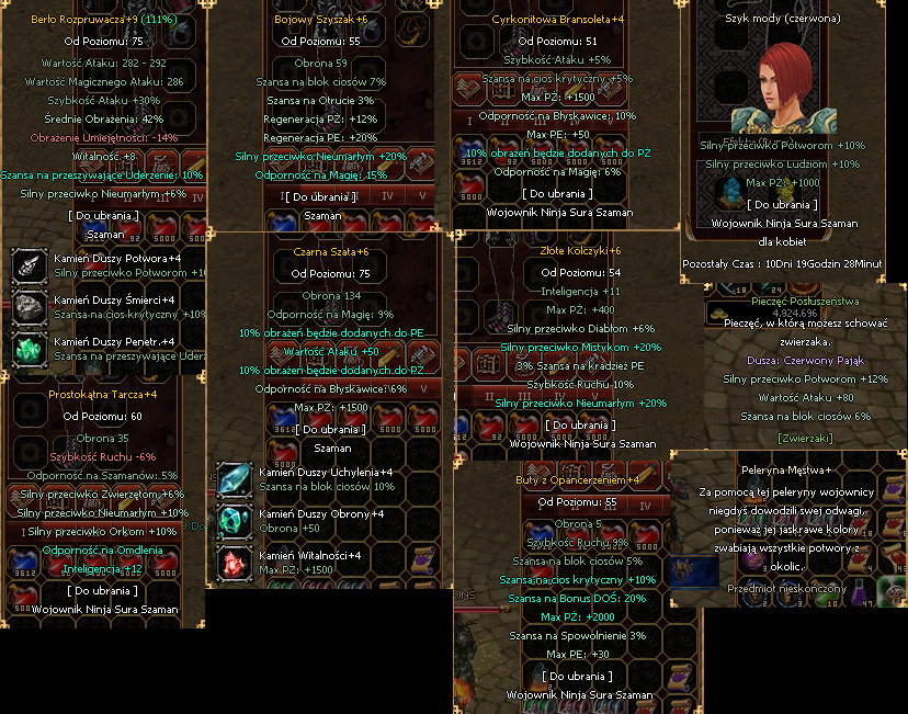 Someya.pl - Szaman Leczenie 76lvl z Eq