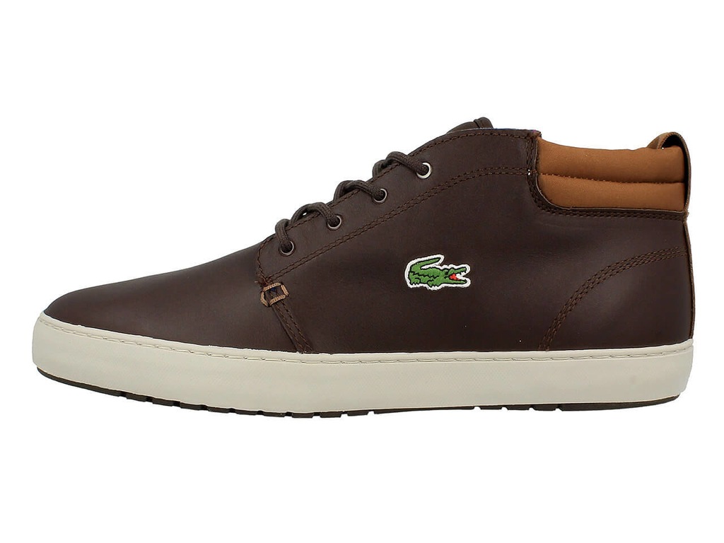 Lacoste ampthill hot sale terra 317