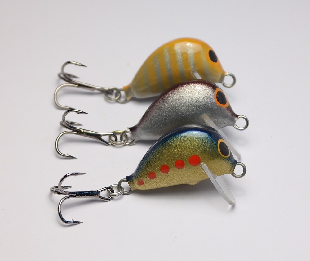 Woblery Kujawskie -Pestki 2,5cm smużak 3sztuki