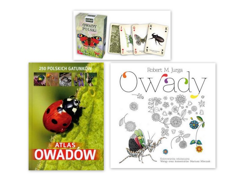 Atlas owadów + OWADY POLSKI karty + kolorowanka