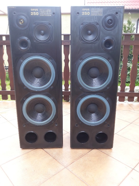 Kolumny Audiomega jak tonsil scherzo 350