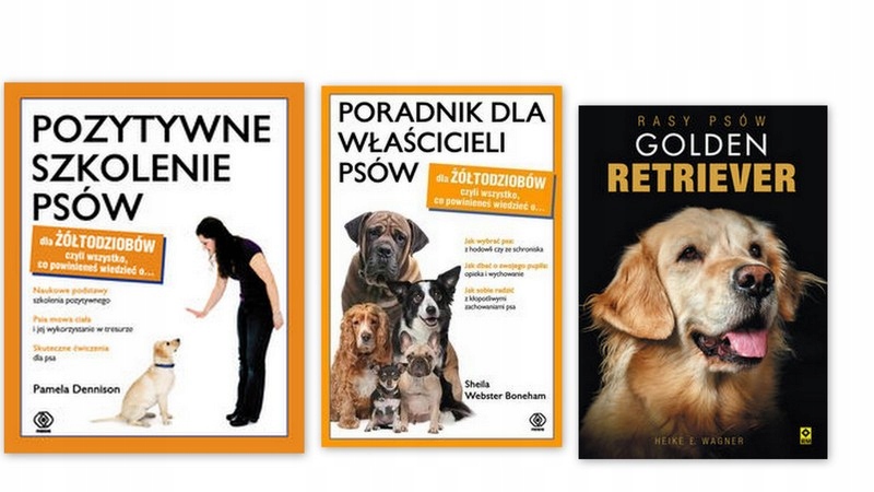 Golden retriever + Pozytywne szkolenie+PORADNIK