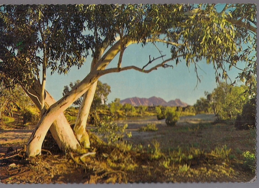 pocztówka FINKE RIVER Rzeka okresowa AUSTRALIA