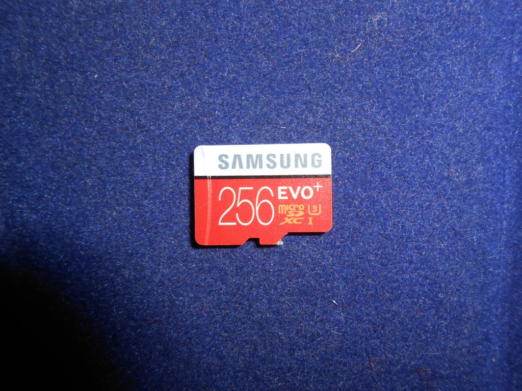 Samsung Evo Plus micro 256GB SDXC UHS-I U3 95Mb/s