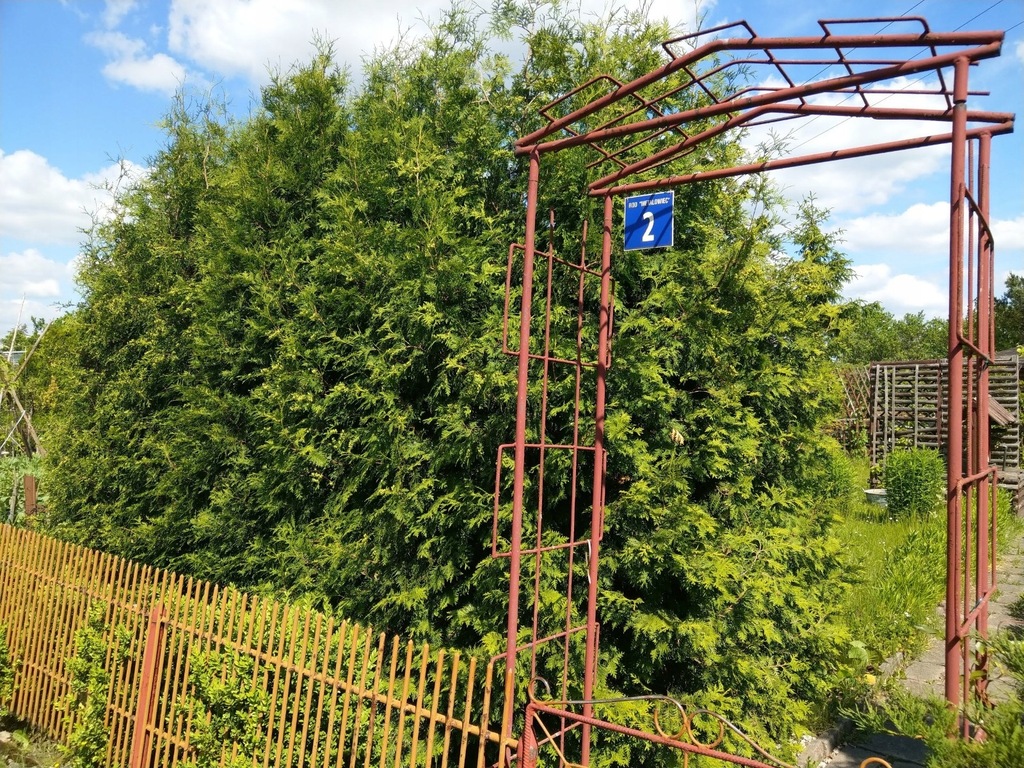 Działka rekreacyjna ROD Metalowiec
