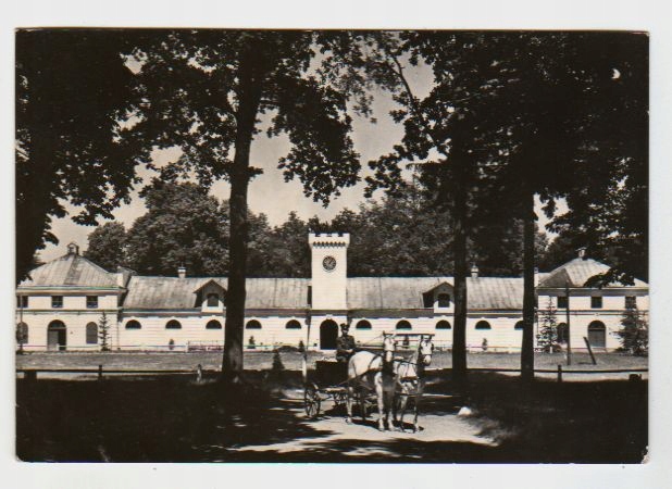 JANÓW PODLASKI, STAJNIA POD ZEGAREM, KONIE 1967 R