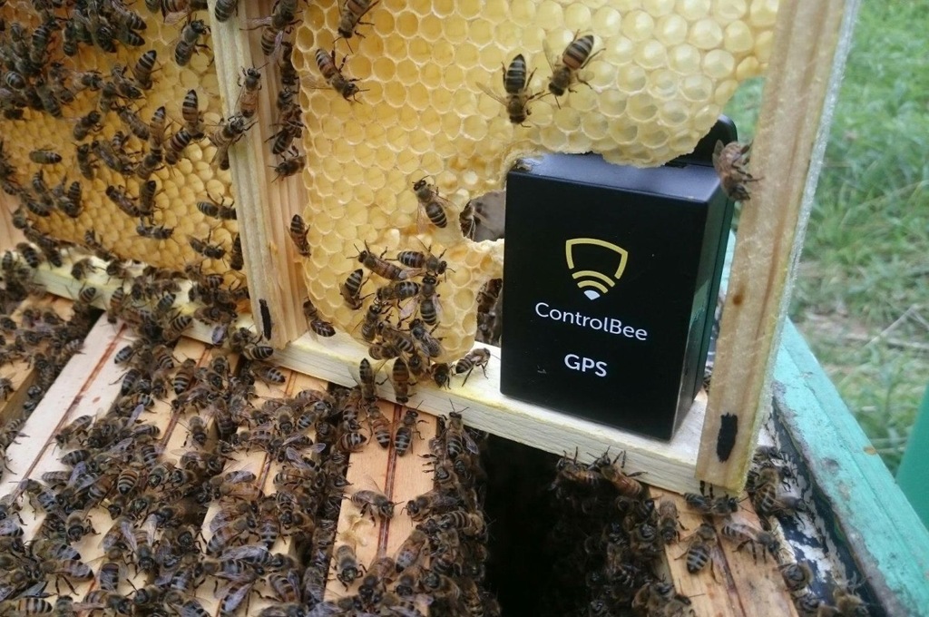 Alarm do ula z lokalizatorem GPS - ControlBee