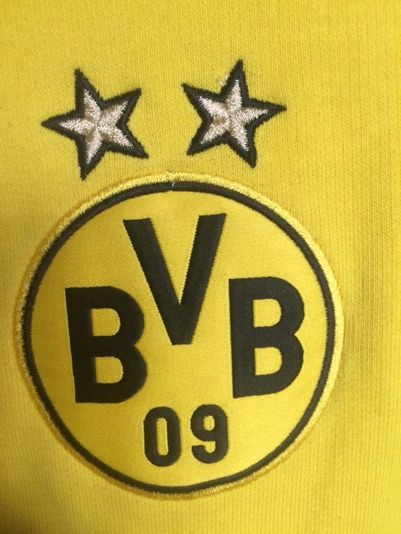 Bluza rozpinana BVB Puma